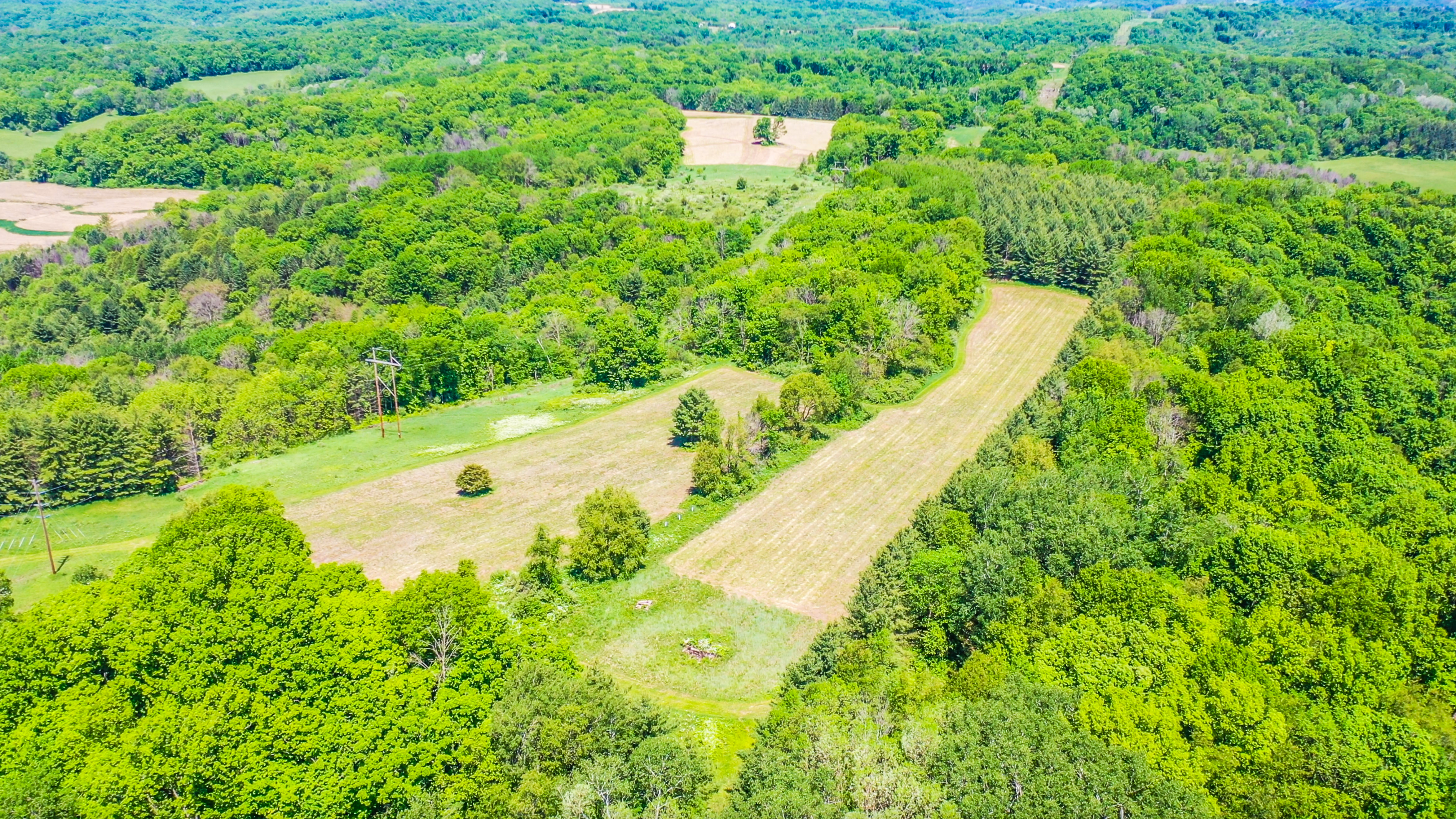 22727 BELL HOLLOW LANE - image 47